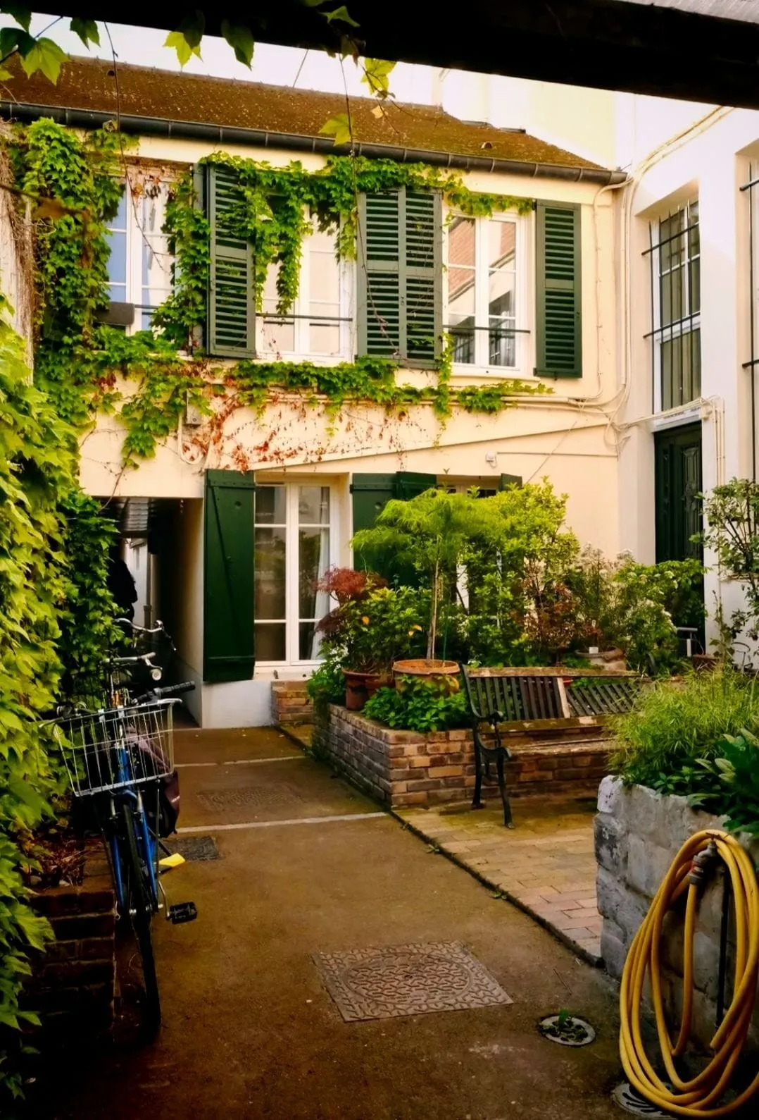 La cour fleurie de la Maison Boson, façade aux volets verts couverte de vigne vierge